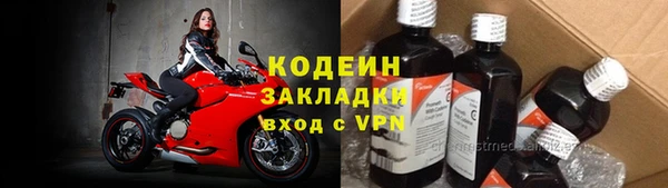 ГАЛЛЮЦИНОГЕННЫЕ ГРИБЫ Заволжье