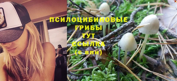 ешки Армянск