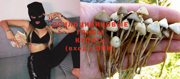 спайс Аркадак