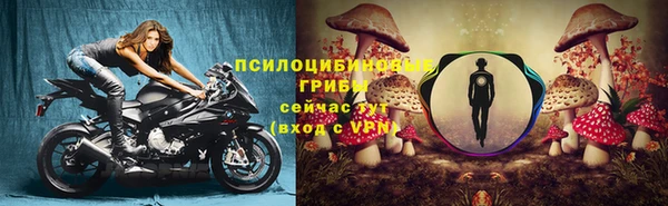 спайс Аркадак