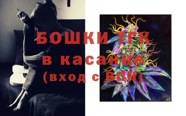 спайс Аркадак